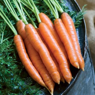 Carrots (Nelson, Mokum)