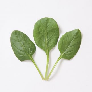 Spinach (Space, Reflect)