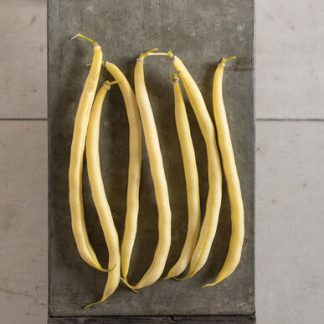 Bush Beans - Yellow - Garden Starter